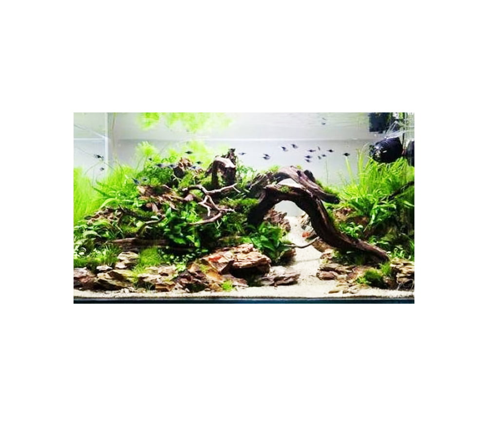 4 Model Meja Aquarium Unik Ini Membuat Ruang Tamu Makin Menarik